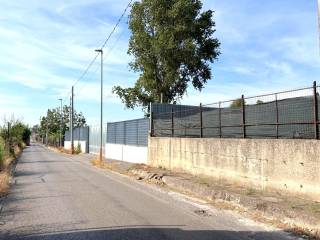 Zona