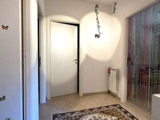 Ingresso