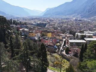 Vista