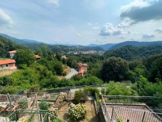 Vista