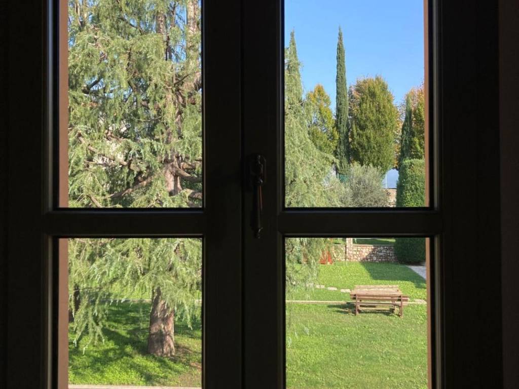 Vista