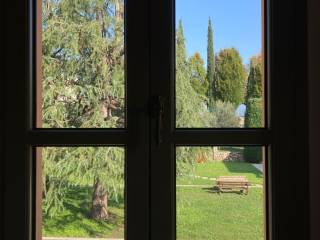 Vista