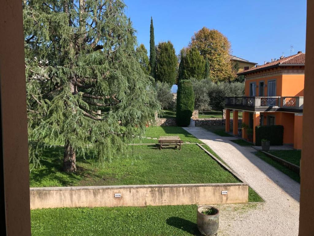 Giardino
