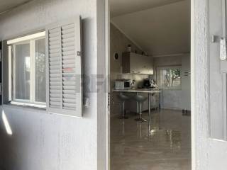 Ingresso