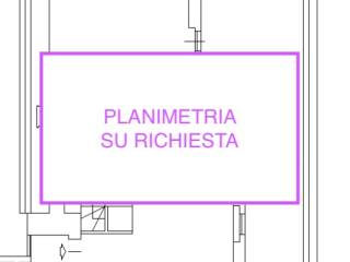 Planimetria