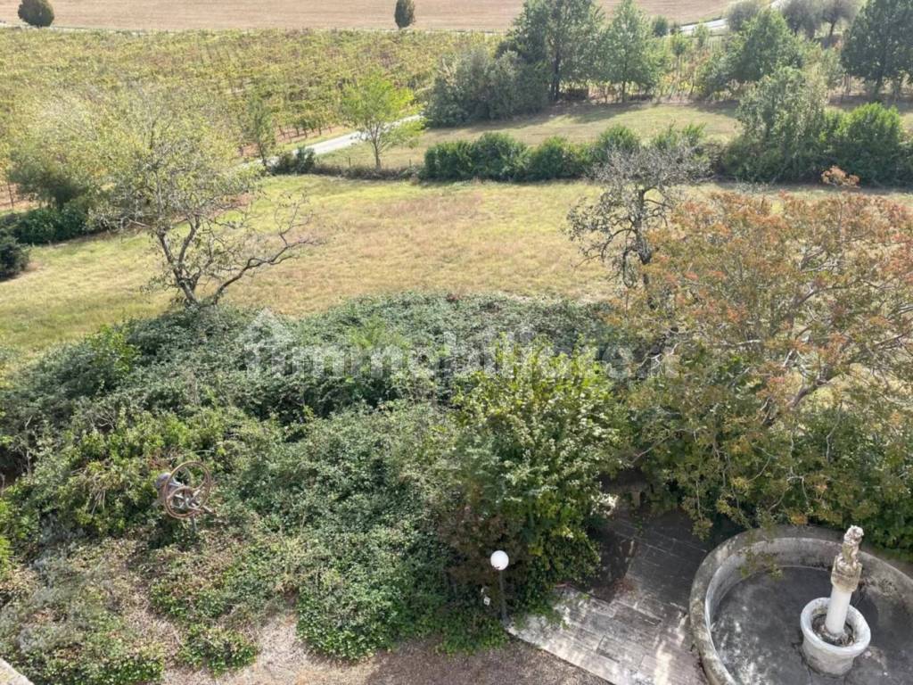 Terreno