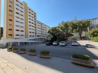 Zona