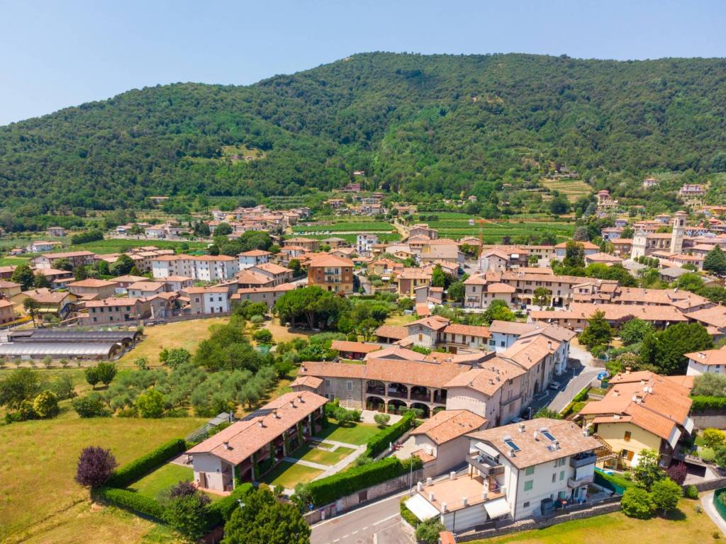 Vista