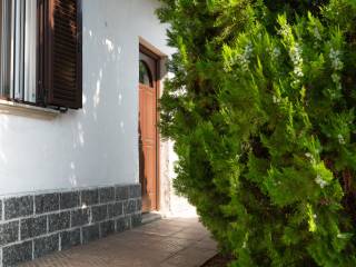 Dettagli