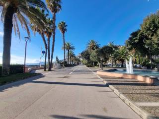 Zona
