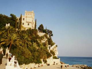 Zona