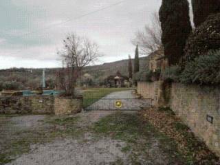 Zona