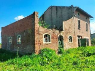 Zona
