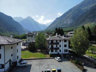 Vista