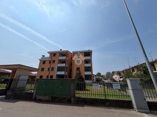 Zona
