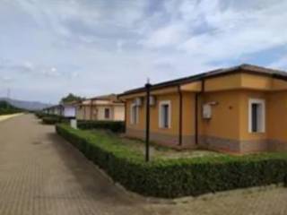 Zona
