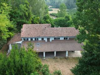 Vista