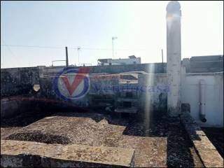 Zona