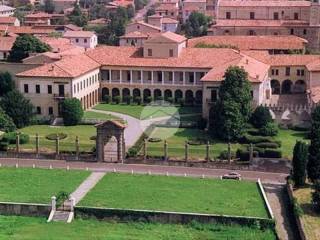 Zona