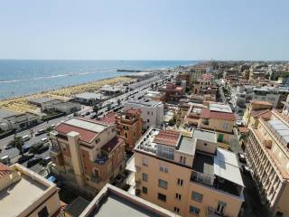 Zona
