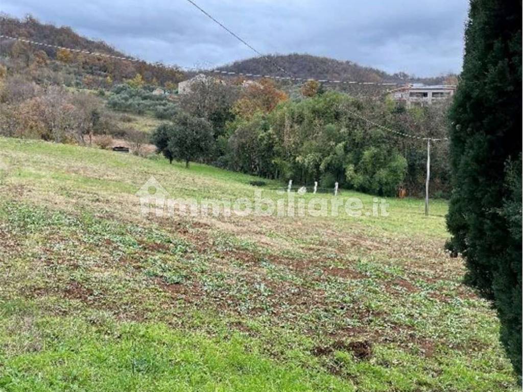 Terreno