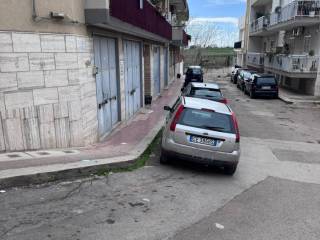 Zona