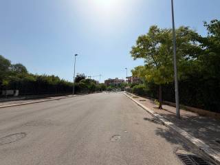 Zona