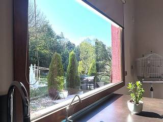Vista
