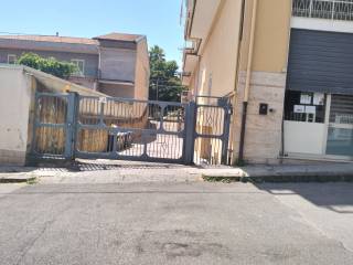 Zona