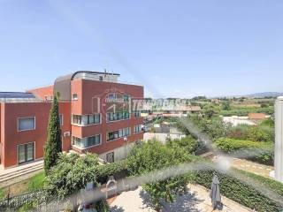 Vista