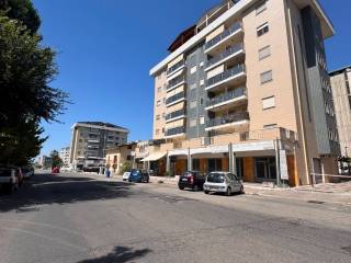 Zona