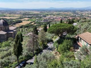 Vista