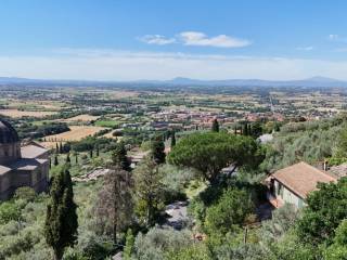 Vista