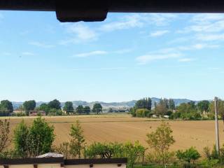 Vista