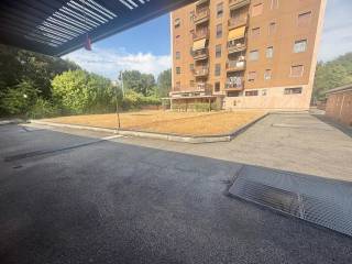 Zona