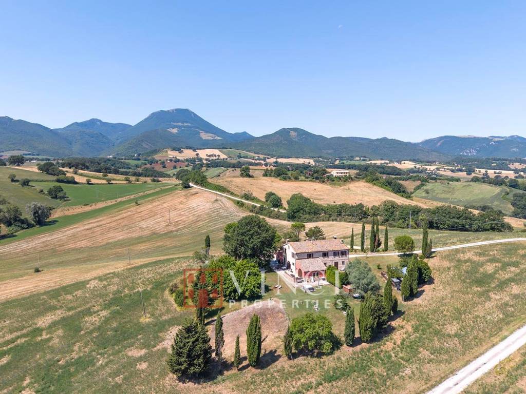 Vista