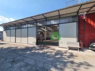 Ingresso
