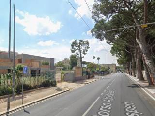 Zona