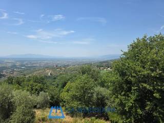 Vista