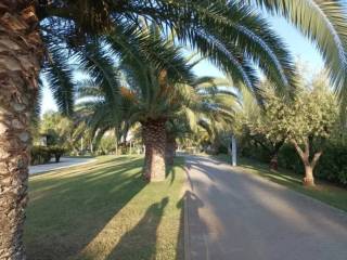 Zona