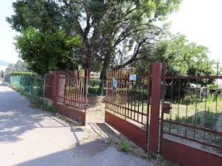 Ingresso