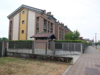 Zona
