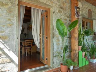 Ingresso
