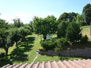Vista