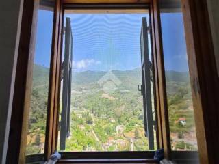 Vista