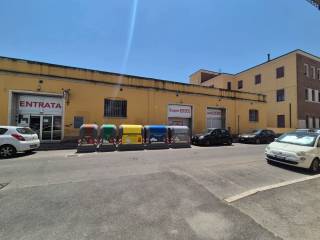 Zona