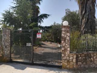 Ingresso