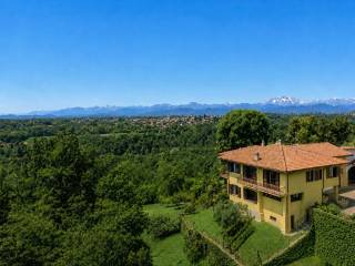 Vista