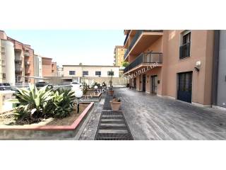 Zona