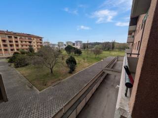 Vista